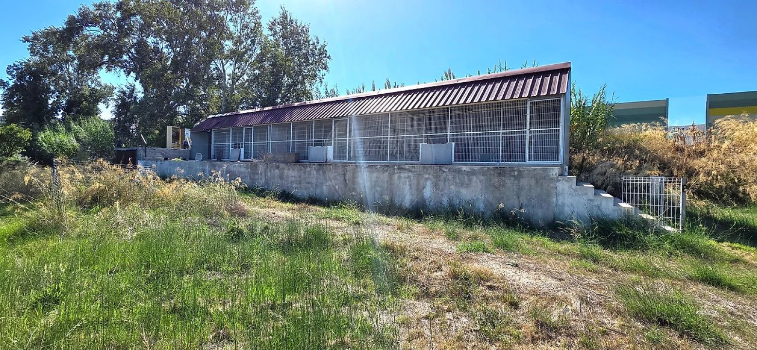 Quinta T8 para Venda em Castanheira do Ribatejo e Cachoeiras Foto 21