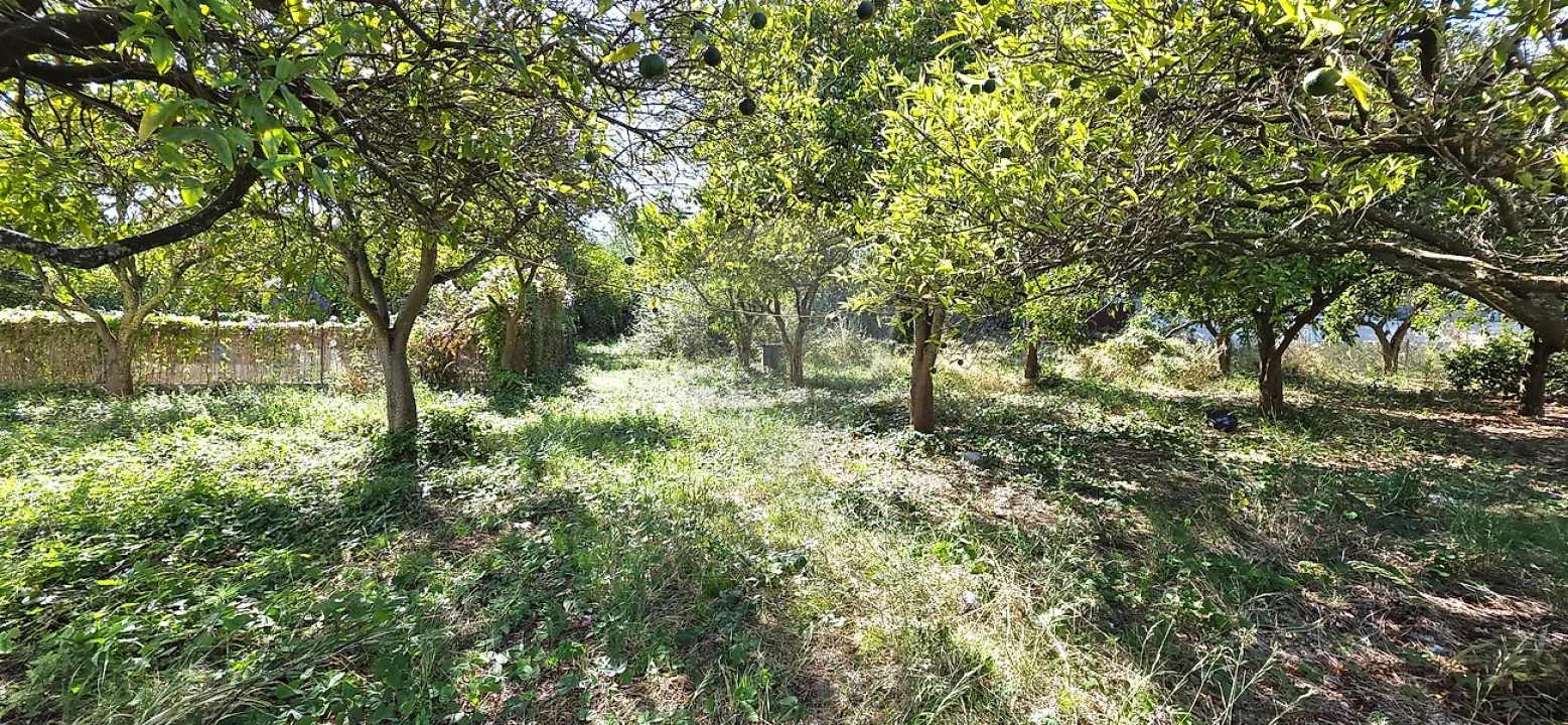 Quinta T8 para Venda em Castanheira do Ribatejo e Cachoeiras Foto 30