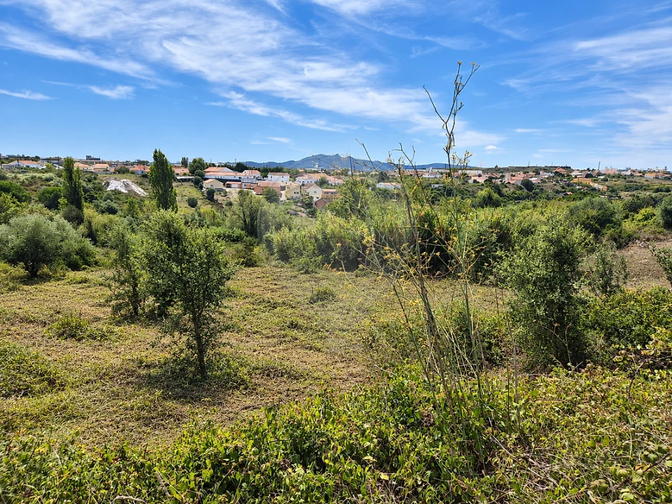 Terreno para Venda em Almargem do Bispo, Pêro Pinheiro e Montelavar Foto 7