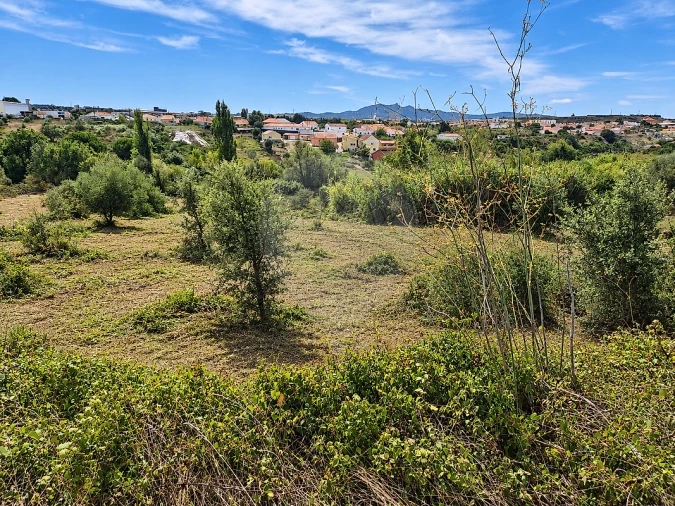 Terreno para Venda em Almargem do Bispo, Pêro Pinheiro e Montelavar Foto 8