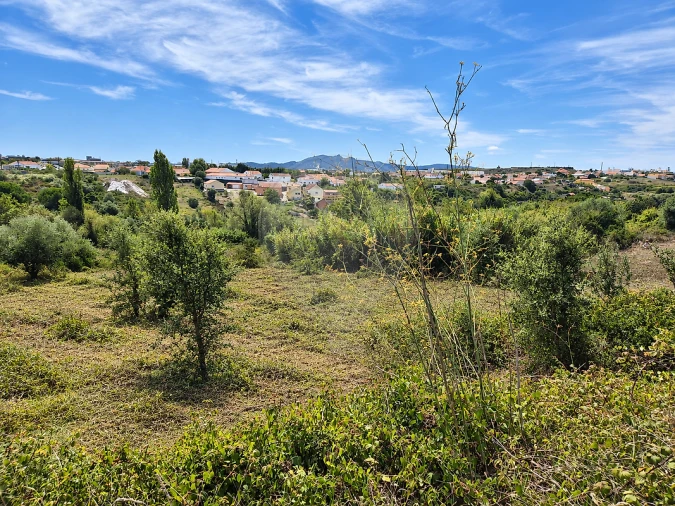 Terreno para Venda em Almargem do Bispo, Pêro Pinheiro e Montelavar Foto 7