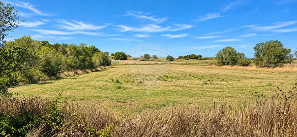 Terreno para Venda em Almargem do Bispo, Pêro Pinheiro e Montelavar
