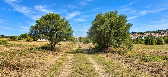 Terreno para Venda em Almargem do Bispo, Pêro Pinheiro e Montelavar