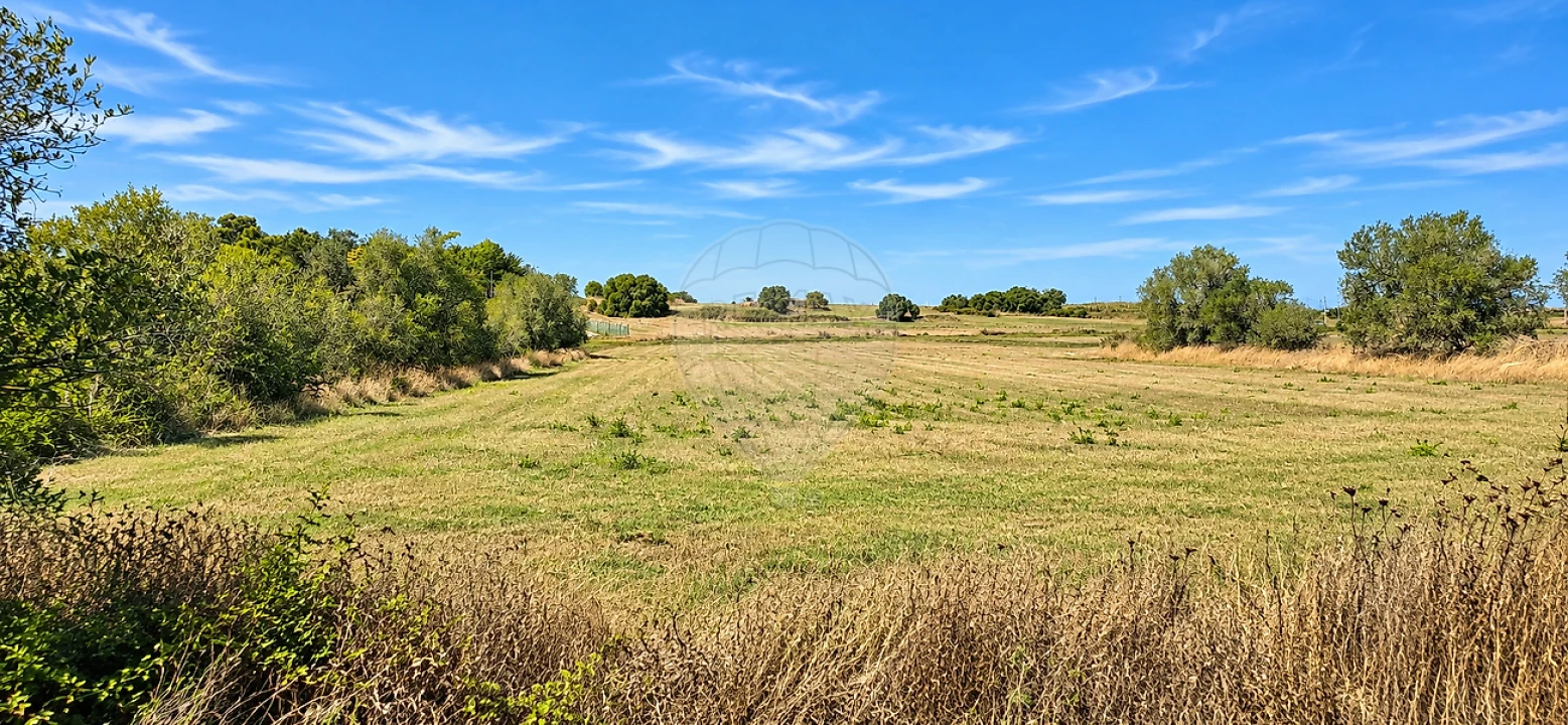 Terreno para Venda em Almargem do Bispo, Pêro Pinheiro e Montelavar Foto 1