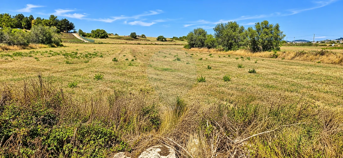 Terreno para Venda em Almargem do Bispo, Pêro Pinheiro e Montelavar Foto 7