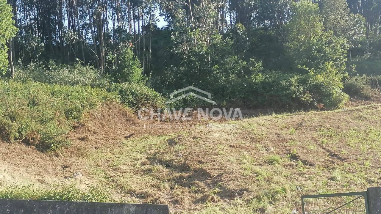 Terreno para Venda em Custóias, Leça do Balio e Guifões Foto 14