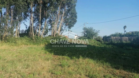 Terreno para Venda em Custóias, Leça do Balio e Guifões