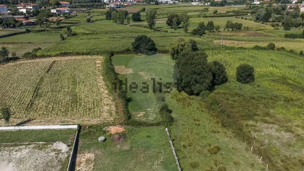 Negócio para Venda em Oliveira Foto 12