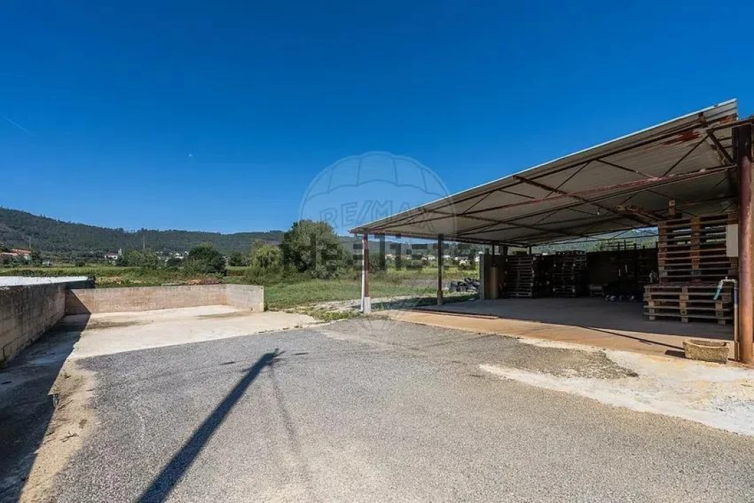 Negócio para Venda em Oliveira Foto 24