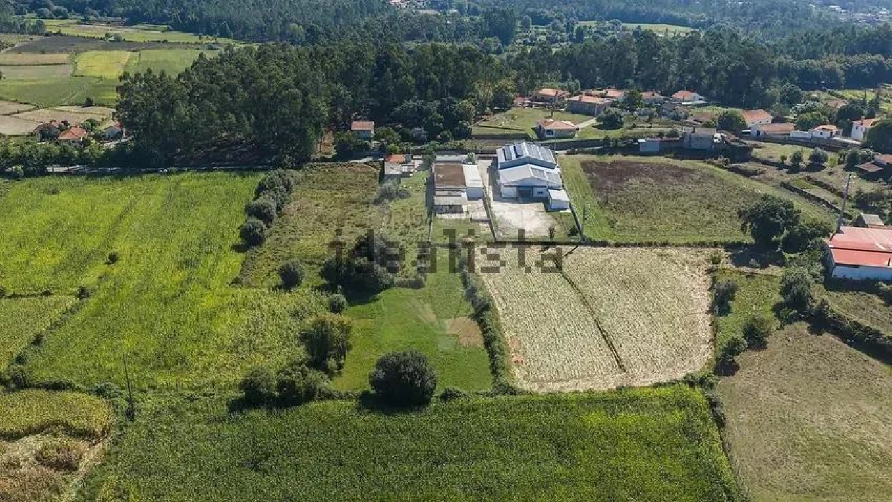 Negócio para Venda em Oliveira Foto 4