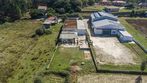 Negócio para Venda em Oliveira