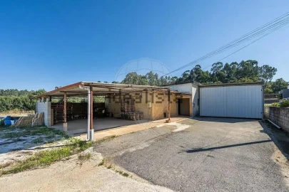 Negócio para Venda em Oliveira