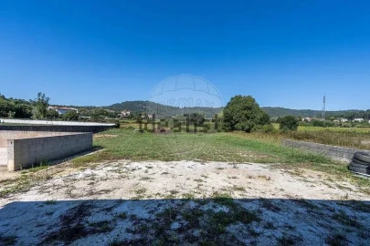 Negócio para Venda em Oliveira