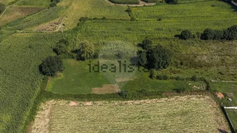 Negócio para Venda em Oliveira