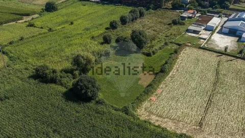 Negócio para Venda em Oliveira
