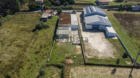 Negócio para Venda em Oliveira