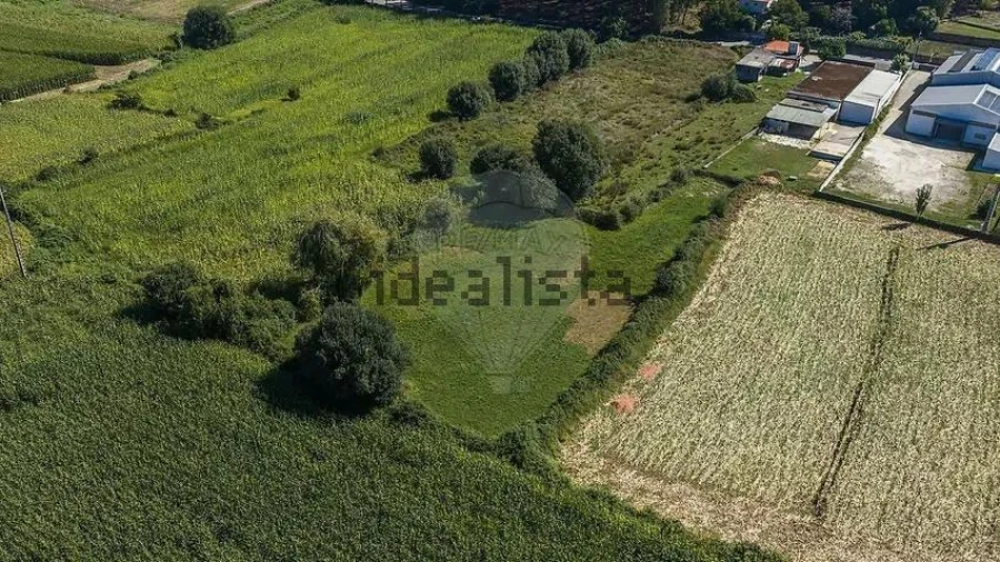 Negócio para Venda em Oliveira Foto 6