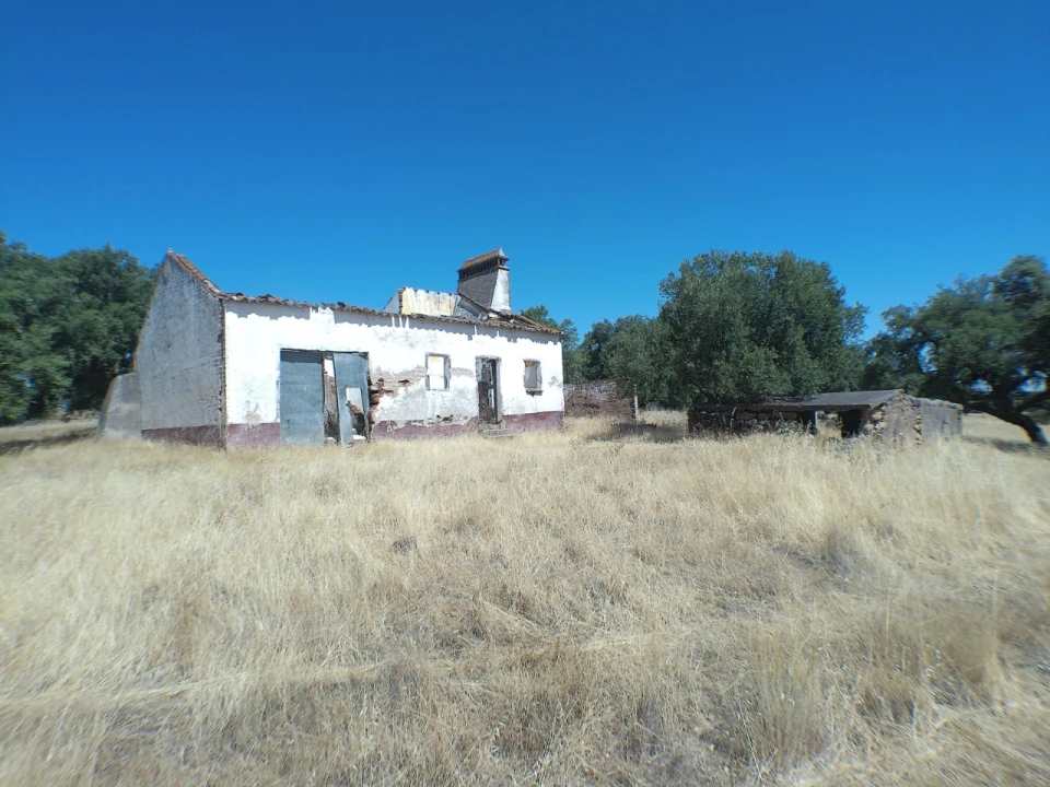 Quinta para Venda em Barbacena e Vila Fernando Foto 1