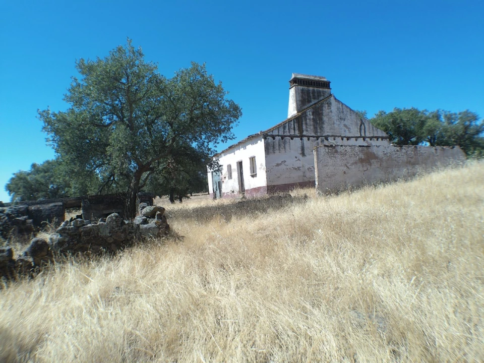 Quinta para Venda em Barbacena e Vila Fernando Foto 3