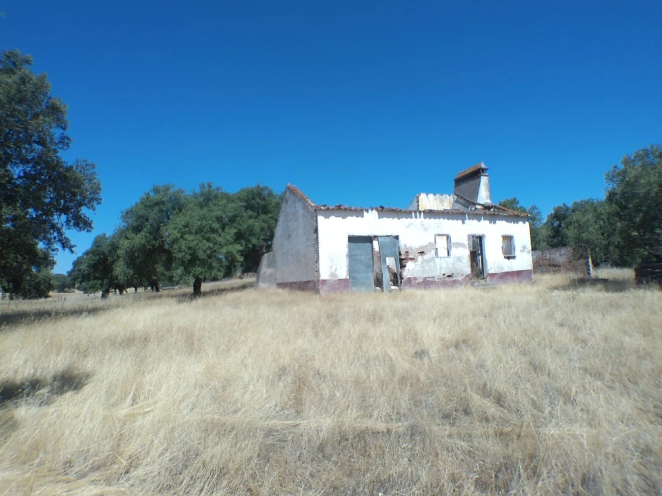 Quinta para Venda em Barbacena e Vila Fernando Foto 4