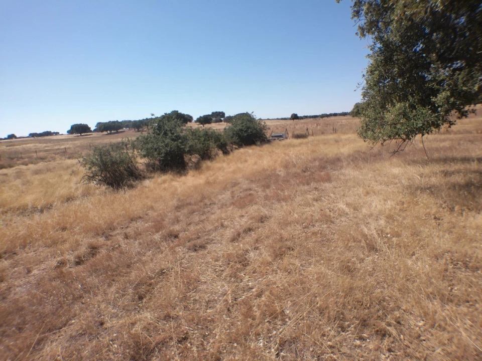 Quinta para Venda em Barbacena e Vila Fernando Foto 5