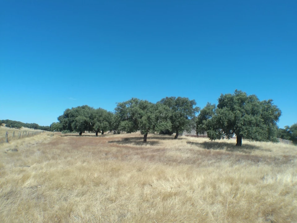 Quinta para Venda em Barbacena e Vila Fernando Foto 8