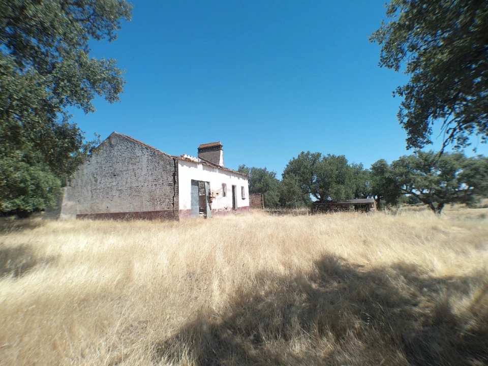Quinta para Venda em Barbacena e Vila Fernando Foto 11