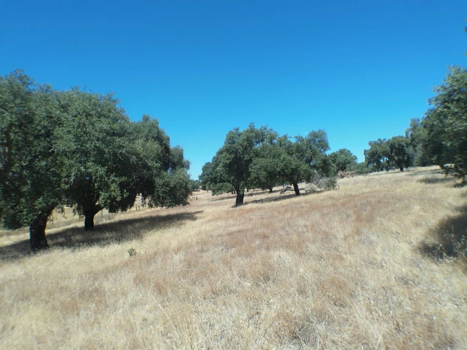 Quinta para Venda em Barbacena e Vila Fernando Foto 12