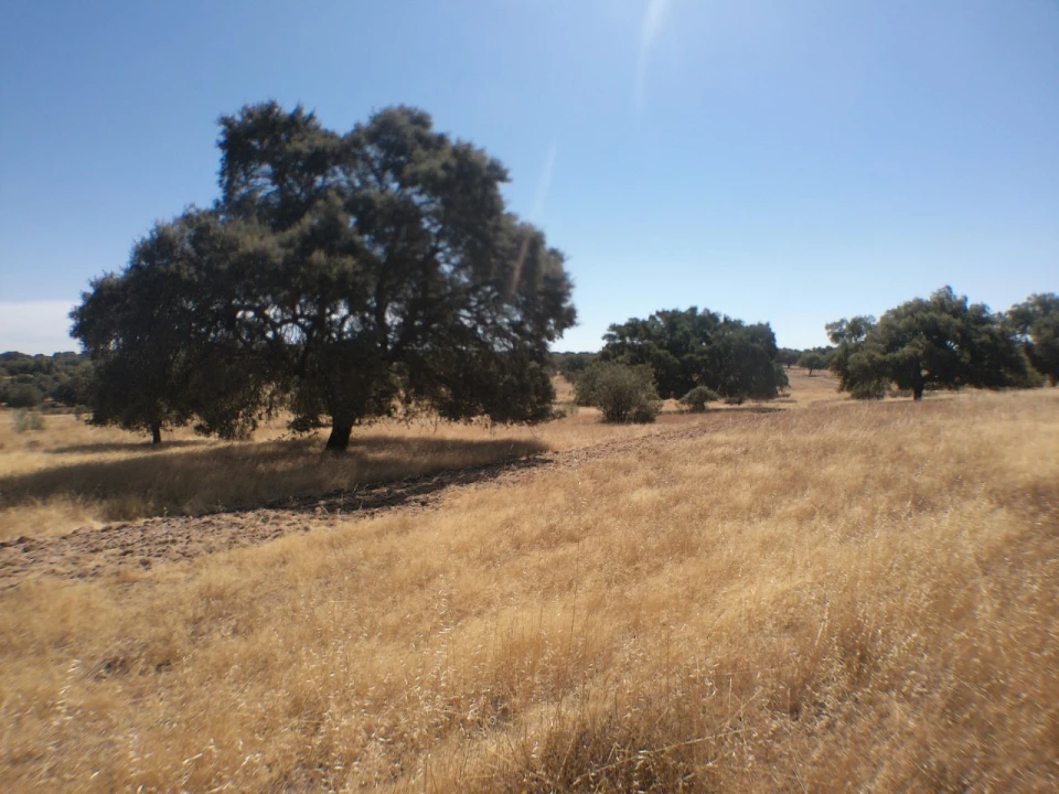 Quinta para Venda em Barbacena e Vila Fernando Foto 13