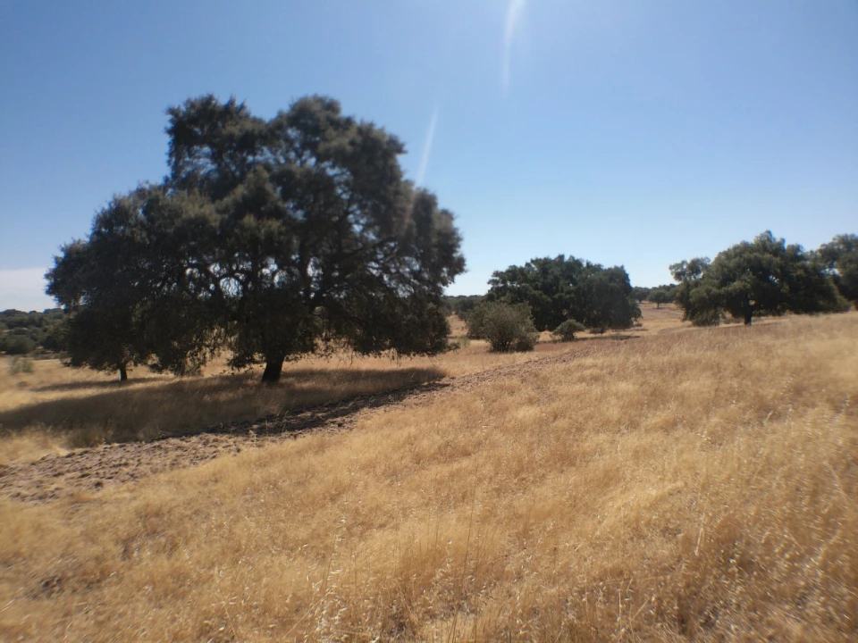 Quinta para Venda em Barbacena e Vila Fernando Foto 14