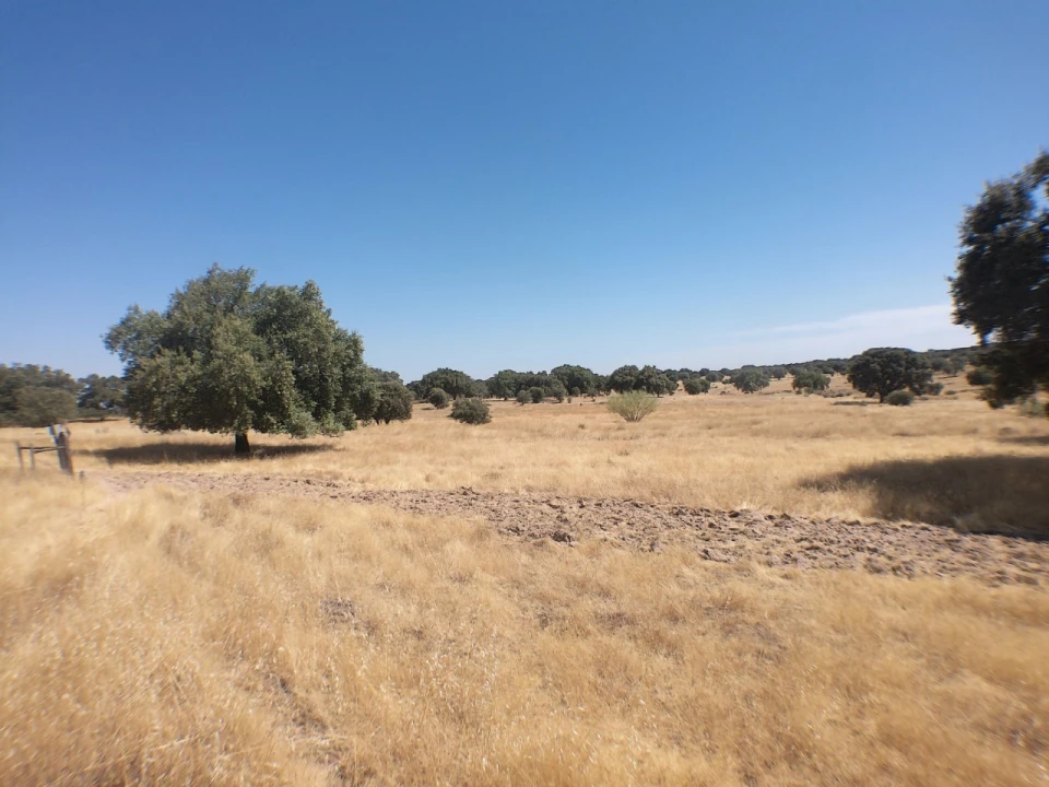 Quinta para Venda em Barbacena e Vila Fernando Foto 16