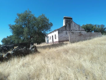 Quinta para Venda em Barbacena e Vila Fernando