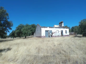 Quinta para Venda em Barbacena e Vila Fernando