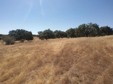 Quinta para Venda em Barbacena e Vila Fernando
