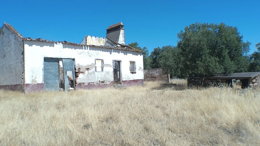 Quinta para Venda em Barbacena e Vila Fernando