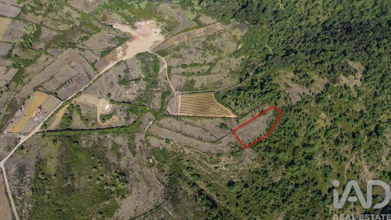 Terreno para Venda em Igreja Nova e Cheleiros Foto 4