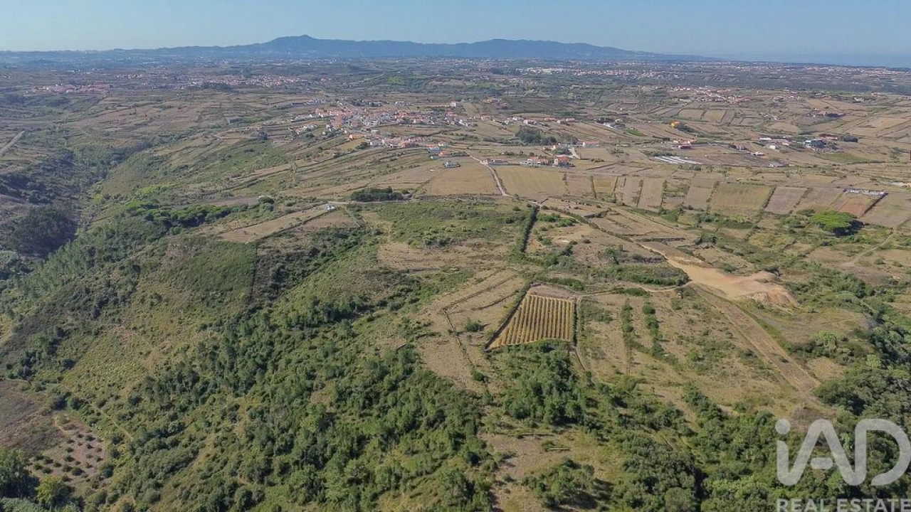 Terreno para Venda em Igreja Nova e Cheleiros Foto 3