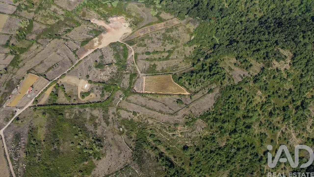 Terreno para Venda em Igreja Nova e Cheleiros Foto 6