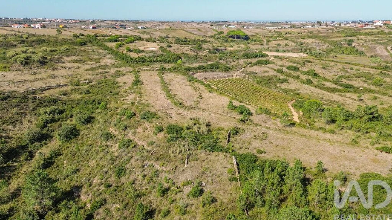 Terreno para Venda em Igreja Nova e Cheleiros Foto 27