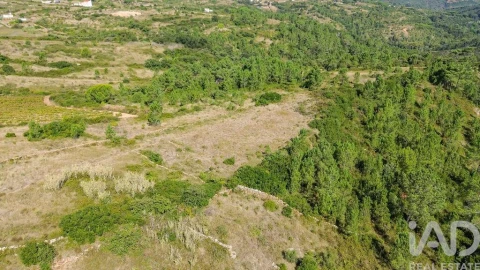 Terreno para Venda em Igreja Nova e Cheleiros