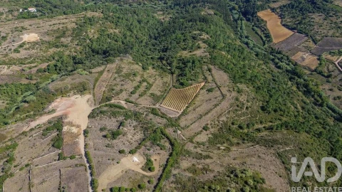 Terreno para Venda em Igreja Nova e Cheleiros
