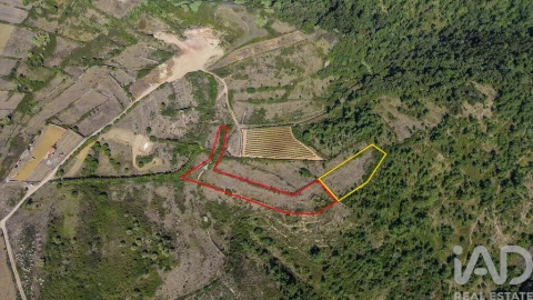 Terreno para Venda em Igreja Nova e Cheleiros