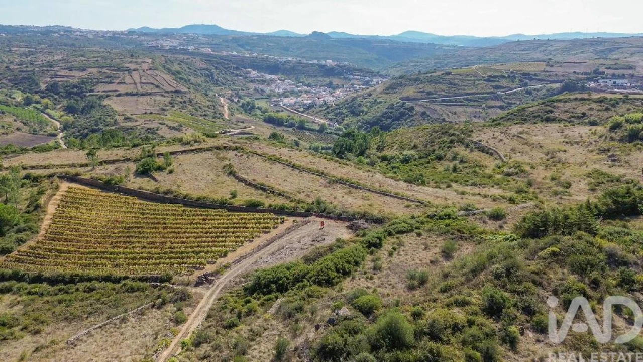 Terreno para Venda em Igreja Nova e Cheleiros Foto 25