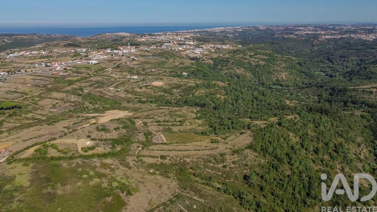 Terreno para Venda em Igreja Nova e Cheleiros Foto 17