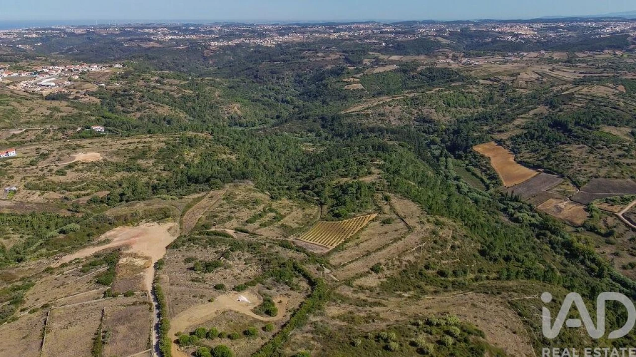 Terreno para Venda em Igreja Nova e Cheleiros Foto 29