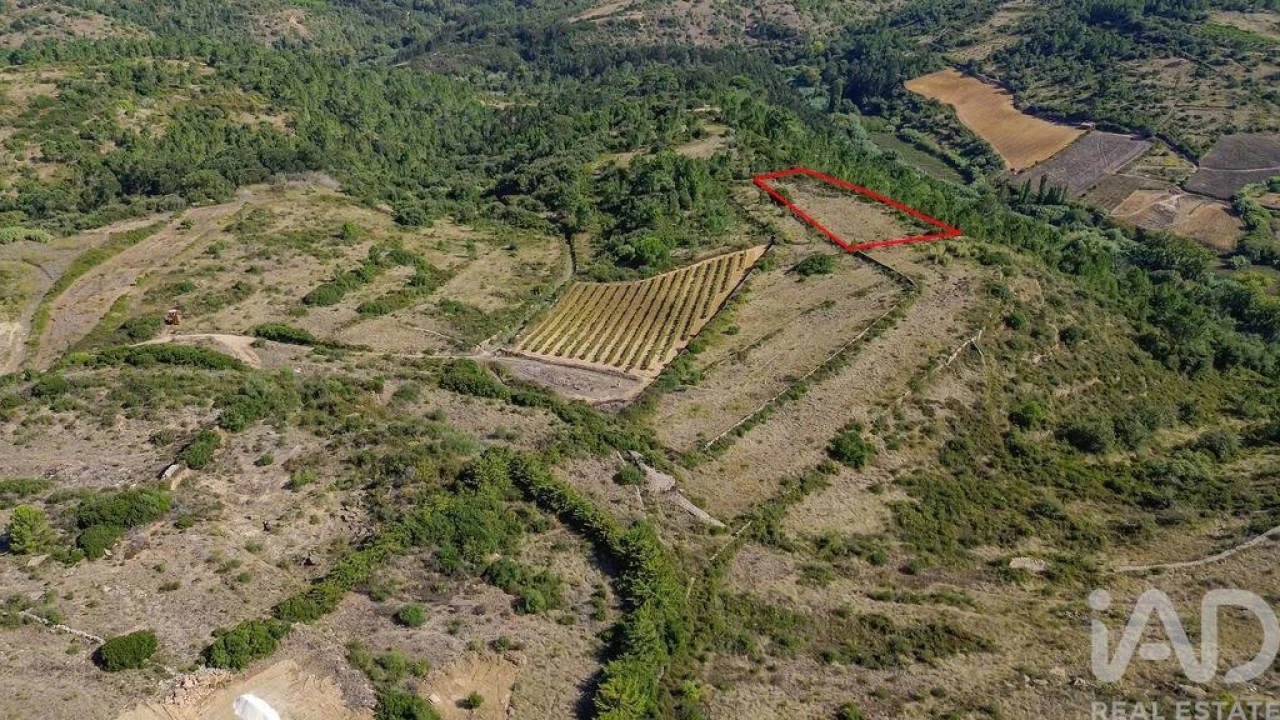 Terreno para Venda em Igreja Nova e Cheleiros Foto 8
