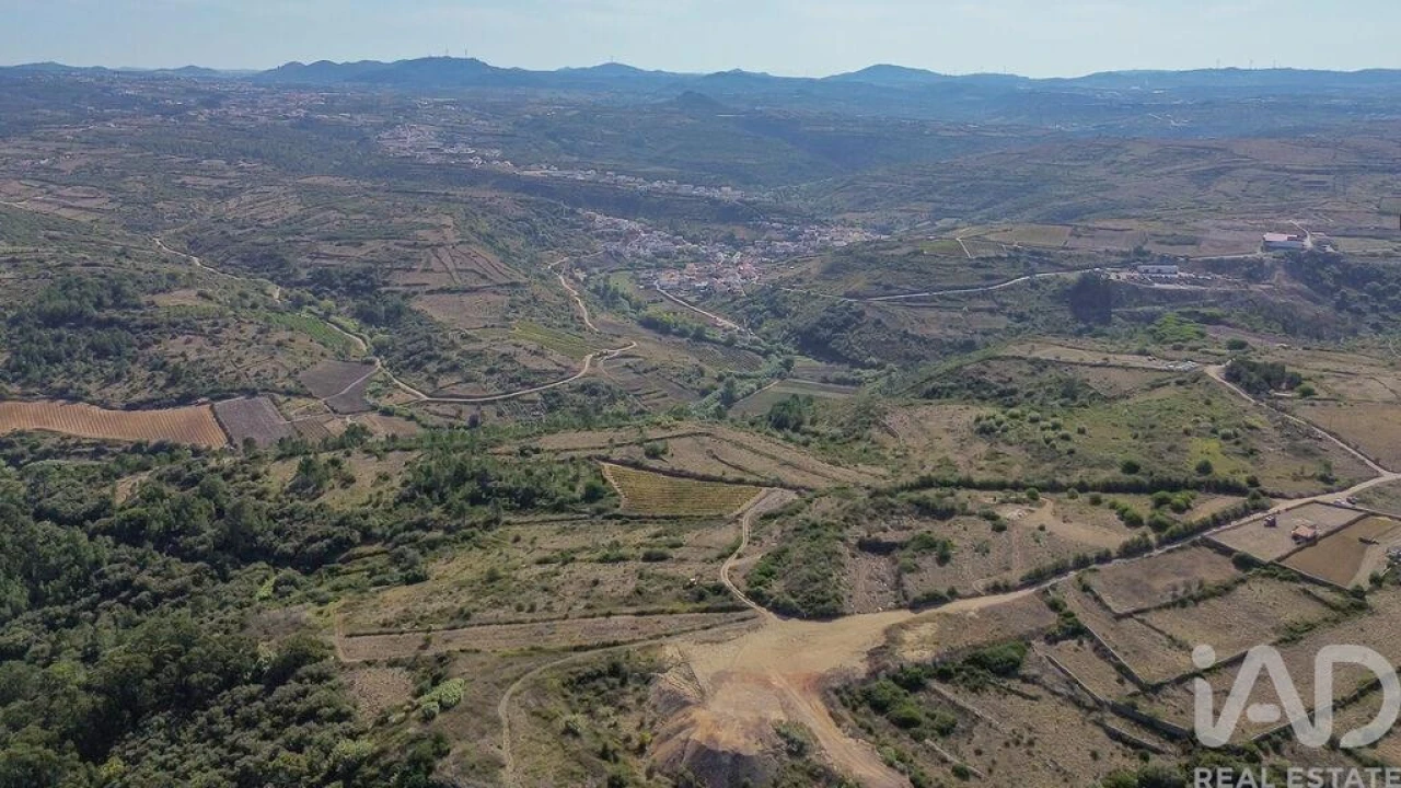 Terreno para Venda em Igreja Nova e Cheleiros Foto 20