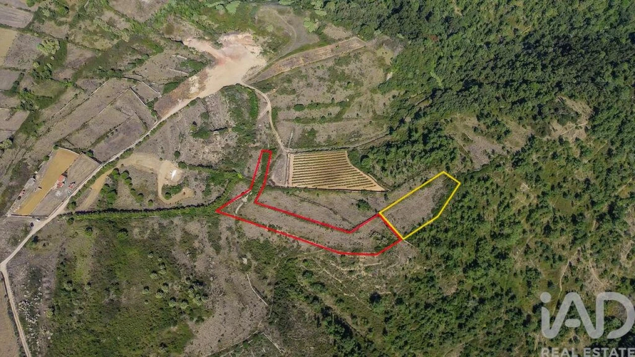 Terreno para Venda em Igreja Nova e Cheleiros Foto 10