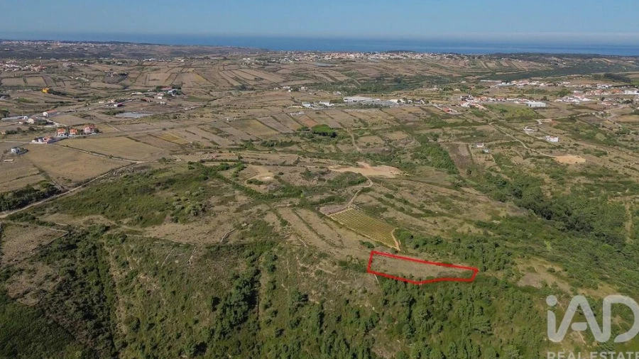 Terreno para Venda em Igreja Nova e Cheleiros