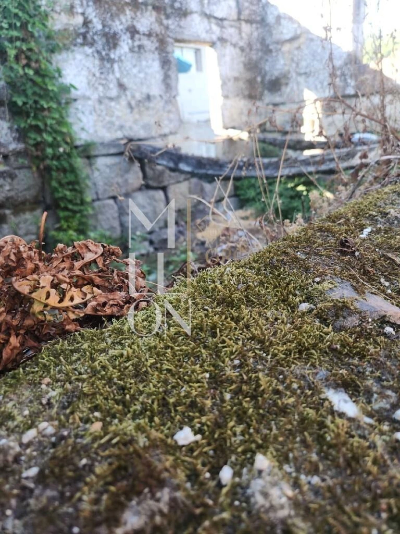 Moradia T3 para Venda em Padronelo Foto 4